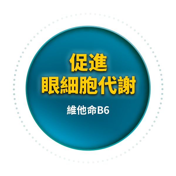 促進眼細胞代謝