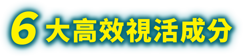 6大高效視活成分